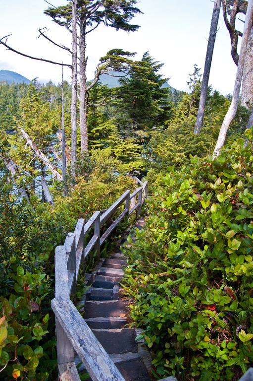 Wild Pacific Guest Suites Ucluelet Zewnętrze zdjęcie