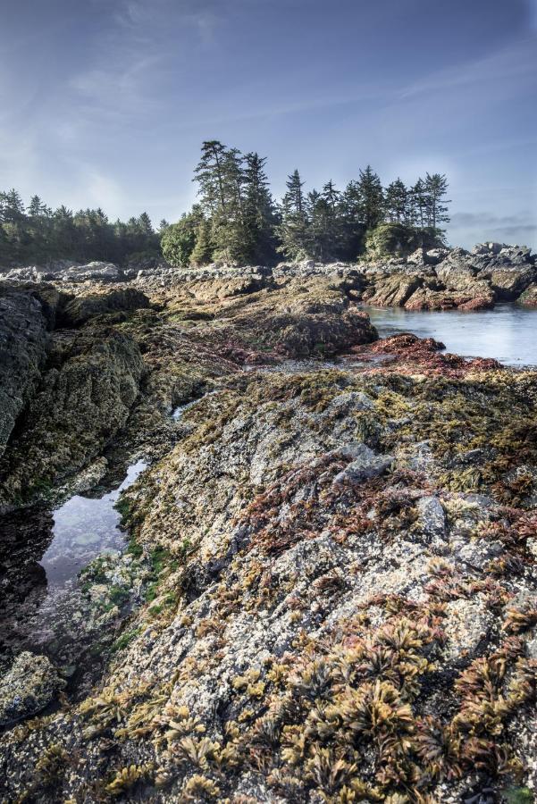 Wild Pacific Guest Suites Ucluelet Zewnętrze zdjęcie